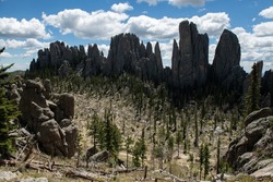 Dramatic spires in the forests of the Black Hills, Custer State