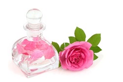 Rose water in art deco glass bottle with flower. Maintains skin pH balance, is anti bacterial, reduces redness of skin, treats acne, dermatitis and eczema, aids healing of wounds. On white.    