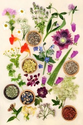 Natural healing plant medicine with dried and fresh herbs and flowers. Alternative plant based flower remedy health care concept. Top view, flat lay on cream background.
