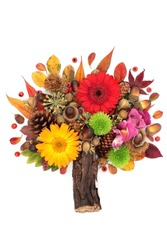 Autumn and Thanksgiving abstract tree shape design with leaves, flowers, berry fruit, nuts. Surreal colorful nature Fall composition with natural flora. On white background. Flat lay.