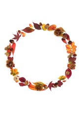 Autumn wreath of leaves and nuts design composition. Natural nature Fall Thanksgiving colourful vivid circular design. Flat lay, top view on white background.