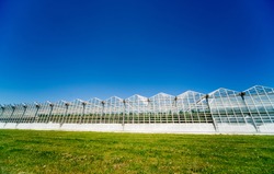 Modern glass greenhouses against the blue sky. Beautiful background