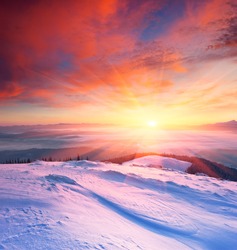 Winter landscape with a sunset. Ukraine, the Carpathian mountains.