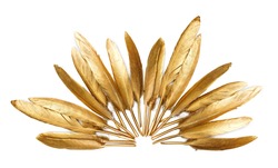 Golden feather on a white background                   