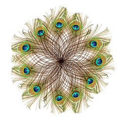 Peacock feathers on a white background. Carnival decorations