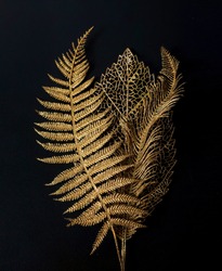Golden leaf. Golden leaves on black background              