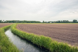 Typical Dutch polder landscape in springtime. The potatoes have recently been machine-planted into long ridges. Next to the field is a ditch for the drainage of the area.