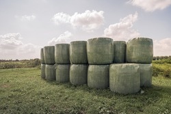 Bales of hay packed with green plastic film stacked on the edge of grassland in a Dutch nature reserve. It is a sunny summer day with some clouds in the sky.