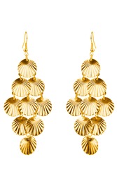 Pair of golden earrings isolated on white background 