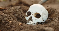 Burying skull and remains into the ground closeup