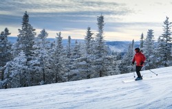 Male skier in red jacket enjoy skiing during winter vacation at Stowe Mountain Resort in Vermont. Active lifestyle concept.