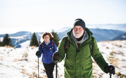 Senior couple with nordic walking poles hiking in snow-covered winter nature.
