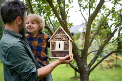 Small boy with father holding bug and insect hotel in garden, sustainable lifestyle.