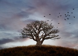 A flock of crows flying away from the silhouette of a lone barren tree on a hilltop against a candy colored sunset sky.