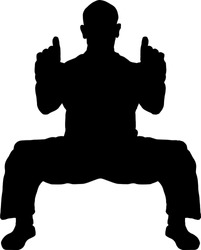 Silhouette of a Kung Fu master striking horse stance pose. Vector illustration.
