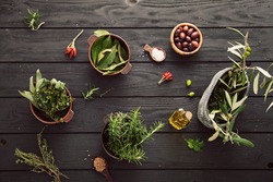 Olive oil with herbs. Mediterranean ingredients: rosemary, olives, thyme, sage, salt, oregano