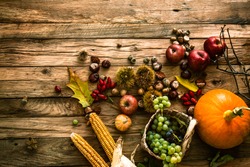 Autumn fruit background. Autumn Thanksgiving seasonal fruit. Nature background