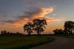 Trees in silhouette against blue evening sky with orange tinted clouds and a gravel road on a summers day in rural Minnesota, United States
