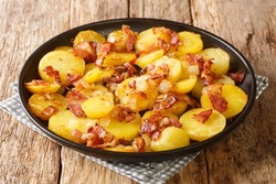 Rustic fried potatoes with bacon and onions close-up in a plate on a wooden table. horizontal