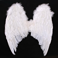 Large Angel Wings Digital Prop