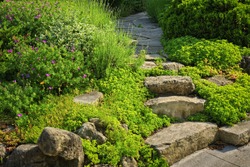 Natural stone steps and path landscaping in home garden