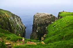 Tourists at cliffs of Cape St. Mary's Ecological Bird Sanctuary in Newfoundland
