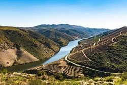 River Douro next to the mouth of the river Coa. Vila Nova de Foz Côa Municipality. Douro Region.