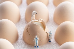 miniature inspectors checking eggs fissure. Quality control concept.