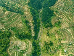 abstract curves of terrace fields on mountains