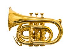 pocket trumpet isolated on white 