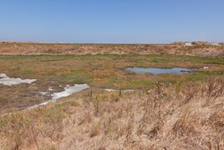 Baylands Preserve is the largest tract of undisturbed marshland remaining in the San Francisco Bay.