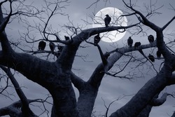 Vultures in a scary and spooky halloween scene.