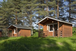traditional camping cabins with dandelions on the lawn in the shade of pine trees