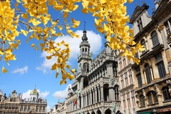 Brussels, Belgium - landmark building: Maison du Roi (The King's House or Het Broodhuis). Located on Grand Place. Autumn tree color.