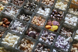Sea shells in a gift shop in Kenting, Taiwan.