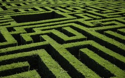 Maze detail in a forest, game and fun