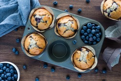 Blueberry muffins in a muffin tin. Baked goods concept.