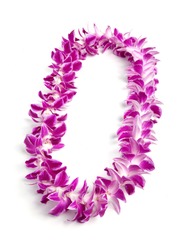 Double Strand Hawaii flowers lei necklace made from  Orchid Flower, Dendrobium Hybrid Pink, from Thailand on white background.