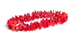 Hawaii flowers lei necklace made from  fresh orchid flower, single red mokara orchid.