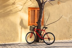 Bicycle parked near a tree on the house wall background on sunny winter day