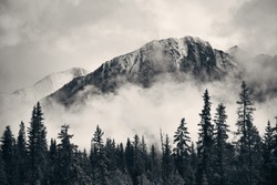 Banff national park foggy mountains and forest in Canada.