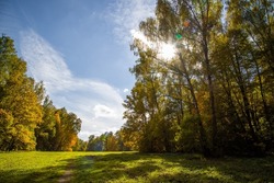 sunny autumnal mowed meadow and yellow forest on its edges with blue sky with white clouds