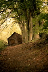 Conceptual image of dirt path leading to secluded cabin