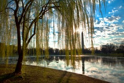 Washington Monument Over Pond and Weeping Willows