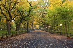 Central Park. Image of  The Mall area in Central Park, New York City, USA at autumn.