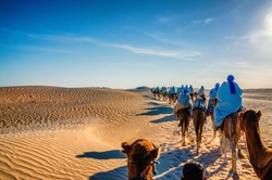 Camels caravan going in sahara desert in Tunisia, Africa.
