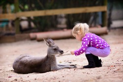 cute young girl and kangaroo in the zoo