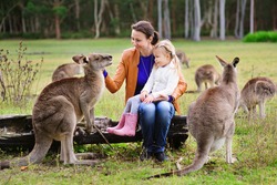 Young family of mother and daughter feeding kangaroo at zoo