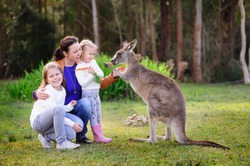 Young family of mother and daughter feeding kangaroo at zoo