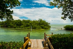 Scenic view of the Florida Keys with mangroves.
